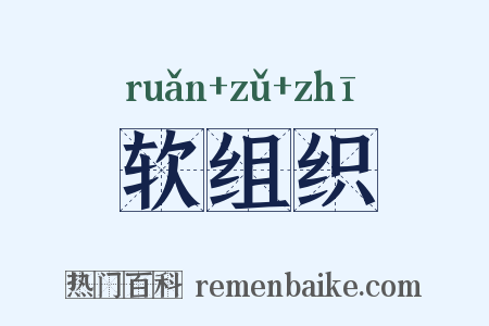 软组织是什么意思的图片